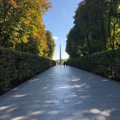 freesolo0's profile picture. Moderation is for cowards.