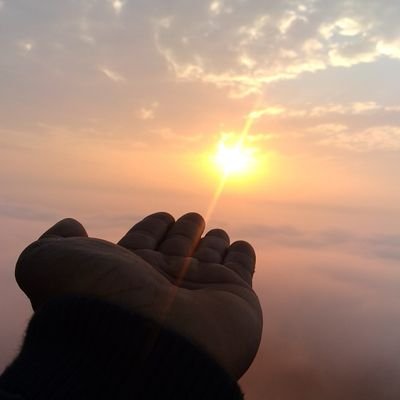 TangguhMujahid's profile picture. 