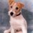 marcelkochen's profile image