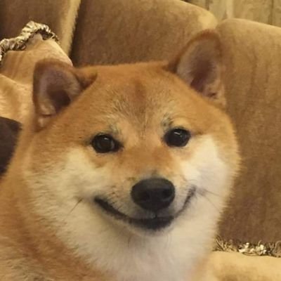 Jaeさんのプロフィール画像