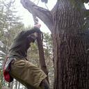 Cole Watkins - @benton363 - Twitter