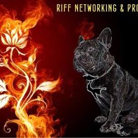 Riff Networking & Promotions (@riffpromotions) 's Twitter Profile