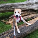 David Hurst - @DavidHu39468528 - Twitter