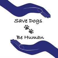 Save Dogs Be Human (@savedogsbehuman) 's Twitter Profile