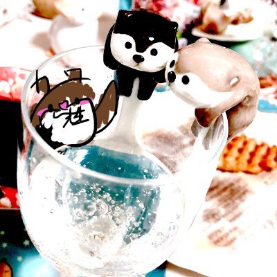 カワウソ先生 (@KAWAUSO_609) / X