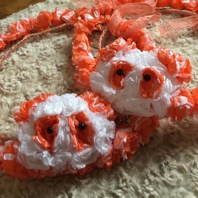 k_hisayong's profile picture. まる命🧡 いつも心にたこ焼きを🐙 社会人の姪と orange eighter 🍊🐼🌈 大人eighterさん 仲良くして下さい。