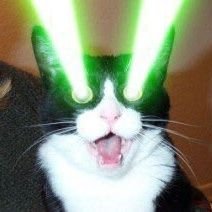 宇宙捕虜👾さんのプロフィール画像