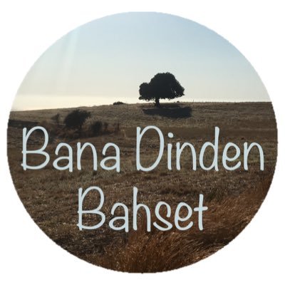 bnadindenbahset's profile picture. 