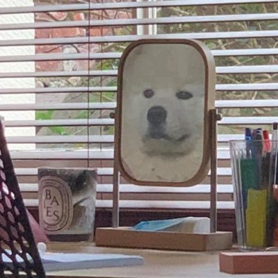 psongg's profile picture. pleng's space