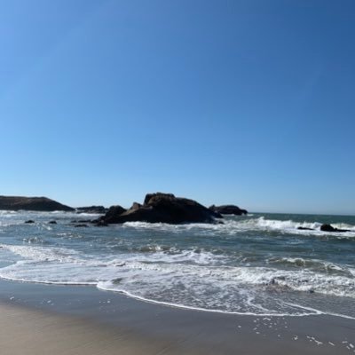 crmcmanus23's profile picture. 