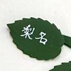 yone_miipan_46's profile picture. 💪井上梨名🦒('推し'を超越した何か） 🌾米谷奈々未(殿堂入り) ✨🐈‍⬛増本綺良 🐕遠藤理子 ﾊﾙｻﾝ⤴
田中瞳アナ、中原みなみアナ(テレ東)、南後杏子アナ(TBS)、晴山紋音気象予報士(NHK)
新しい学校のリーダーズ にハマり中
テレ東視聴権を獲得した田舎出身社会人