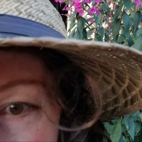 Sosby (@s_osby) 's Twitter Profile