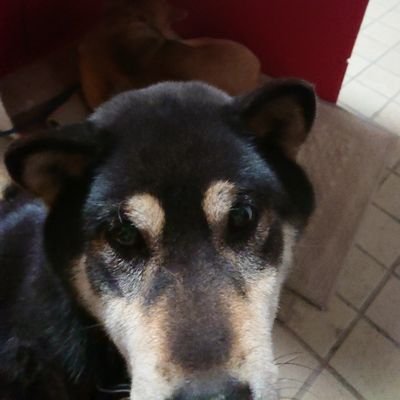 CnPq6s's profile picture. 