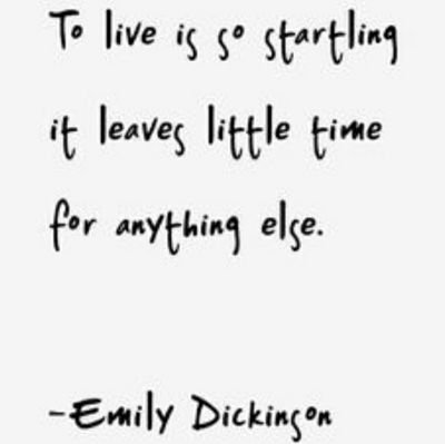 mdfercar's profile picture. English teacher and learner