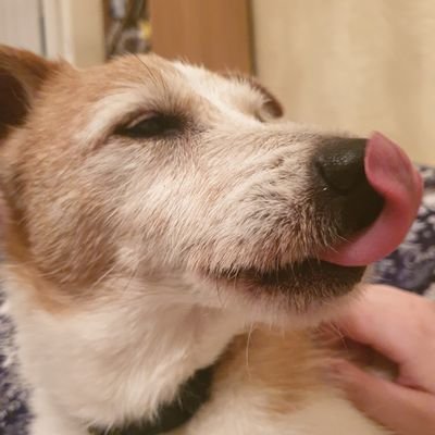 bekahhainsworth's profile picture. Pronouns: (she/her)