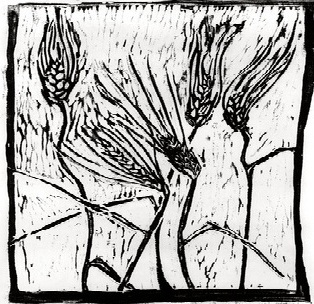 5PointsBakery's profile picture. We are a 100% whole grain bakery and toast cafe, using only the best local ingredients.  Straight from the farm to the toaster.