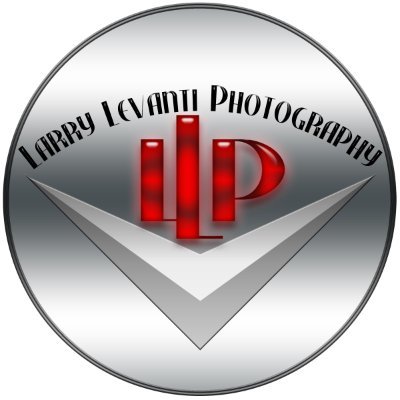 LarryLevanti's profile picture. 