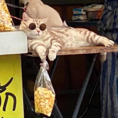 noeynoey3659's profile picture. 