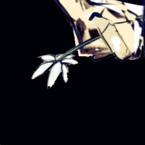 サクさんのプロフィール画像
