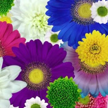 Araceli30936632's profile picture. 