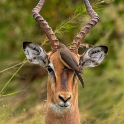 parmeshwarc1's profile picture. nursery student of truth