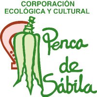 Corporación Penca de Sábila (@penca_sabila) 's Twitter Profile