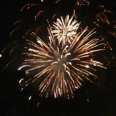 daradarandosu's profile picture. ドラマとか音楽とか動画とか色々