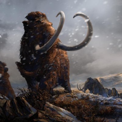 FernandoPous's profile picture. 