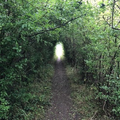 clareabellaboo's profile picture. 