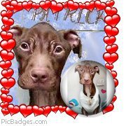 patrickoregon's profile picture. I am an animal lover and writer living in Portland, Oregon. I am committed to working on changing current Oregon laws with regard to animal abuse and neglect.