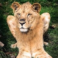 Tan31762193's profile picture. 