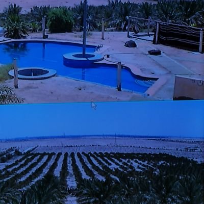 alsaifee2011gm1's profile picture. 