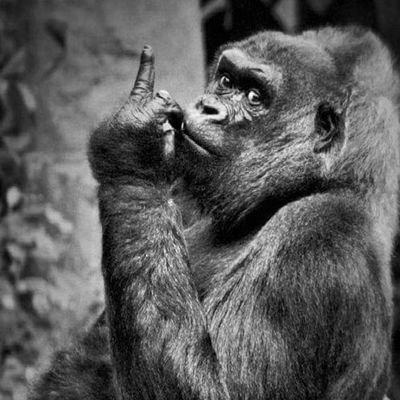 carlos_teobal's profile picture. 'Que es el cielo sino un soborno y que es el infierno sino una amenaza'
Jorge Luis Borges