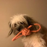 Rosann Counts (@countsrosann) Twitter profile photo