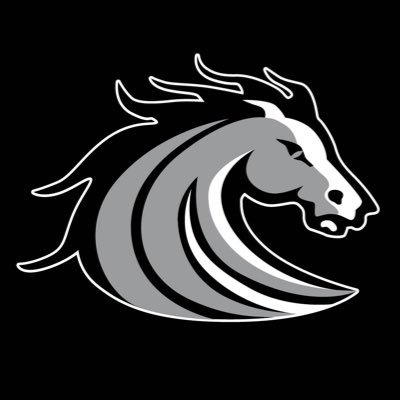 stockdalehigh's profile picture. 