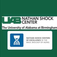 UAB NSC (@nscuab) 's Twitter Profile Photo UAB NSC (@nscuab) 's Twitter Profile Photo