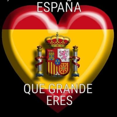 Un enamorado de España.
Un privilegiado por ser español.
Y un indignado con los individuos que quieren hacerle daño.