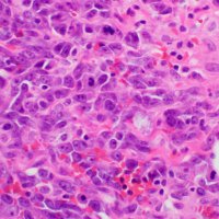 NorthShore Pathology Residency (@northshore_path) 's Twitter Profile