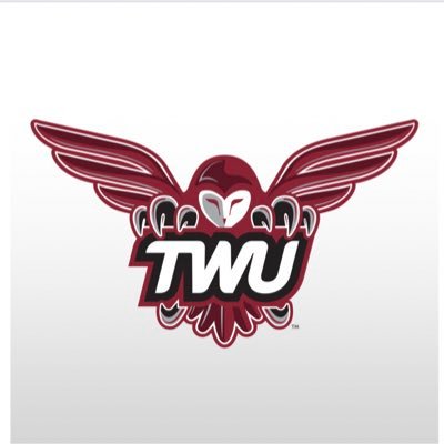 TWUVolleyball Profile Picture