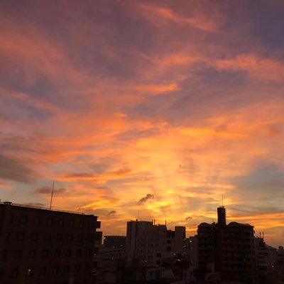 kaiito20's profile picture. 東京。無添加無着色無香料になりたいです。