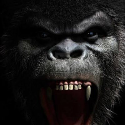🇳🇬Dear Nigeria🇳🇬
 This is the official handle of The monsters they made🦍 | We aim to take back our country from the crooked politicians killing our nation.