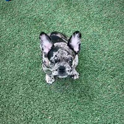 Adam94444825's profile picture. Finding the true me after so much time. Getting to understand my place in a world that never knew me.