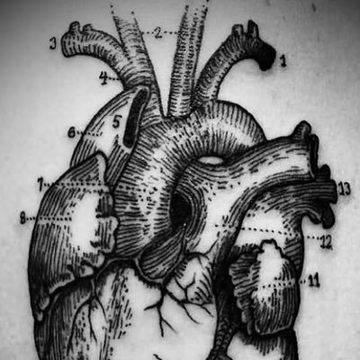 A forum for patients with #CHD and other cardiac diagnoses (and anyone else...) to share cardiology-related body art/tattoos.