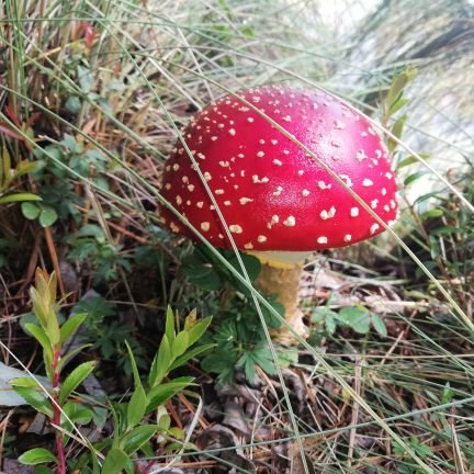 Araceli361's profile picture. 