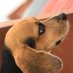 Nuris Carrascal (@carrascalnuris) Twitter profile photo Nuris Carrascal (@carrascalnuris) Twitter profile photo