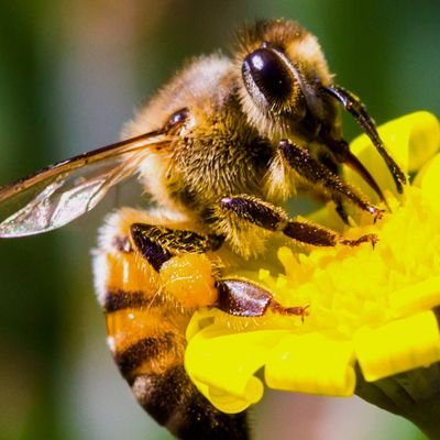 beeinstrategic's profile picture. In the crusade for justice, peace, and equality for all!