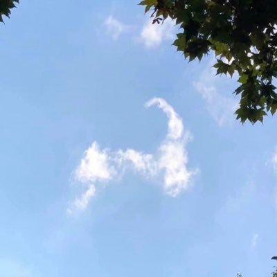 drobertsjr's profile picture. RSGifts