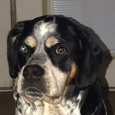 mjmolina05's profile picture. Hispanic Male who believes in God, Family, Loyalty to our Country, The Constitution, and a President Trump supporter 2024 Save America!