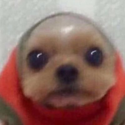 jsjkskskakak's profile picture. 