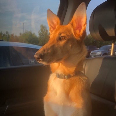 bourbonisneeded's profile picture. My views are accurate and my own, unless I’m retweeting.